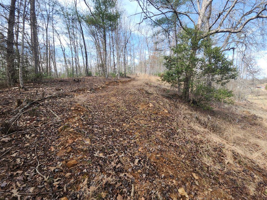 Murphy, NC 28906,31.53 Ac Barnett Road