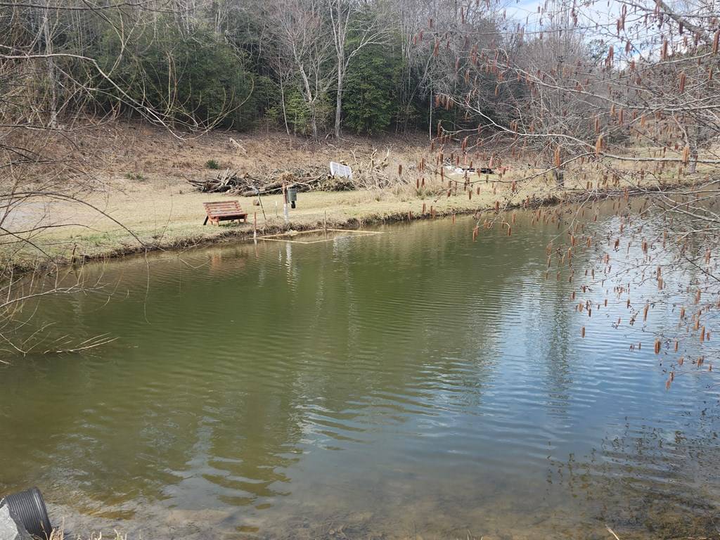 Murphy, NC 28906,31.53 Ac Barnett Road