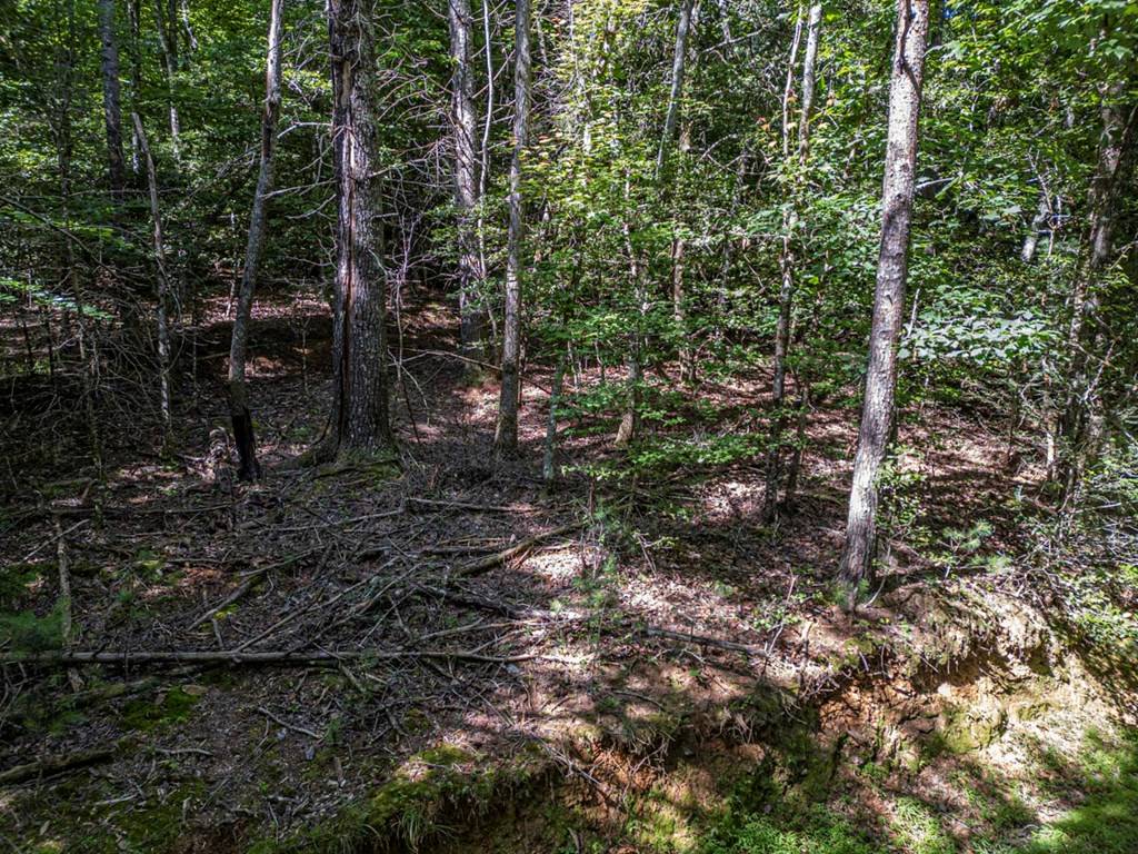Blairsville, GA 30512,Lot 9 Galloway Boulevard