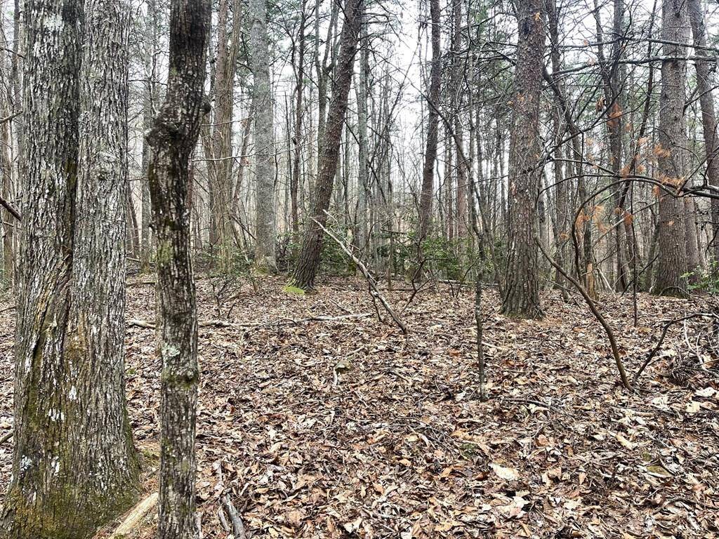 Blairsville, GA 30512,Lot 13 Wilderness Ridge Sub