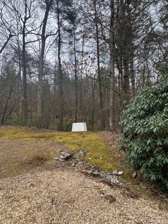 Cherry Log, GA 30522,16R Leatherwood Mountain Road
