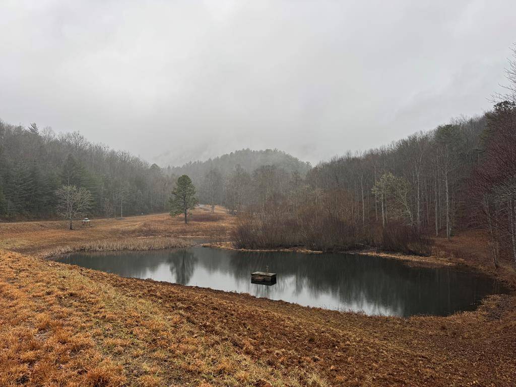 Hiawassee, GA 30546,Lot 41 Whisper Woods Road