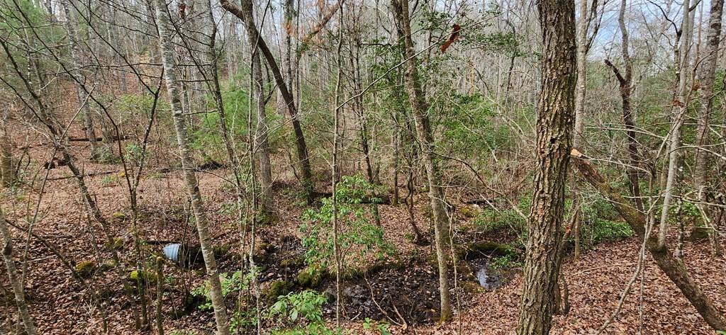 Blairsville, GA 30512,Lot 18 Gray Fox Trail