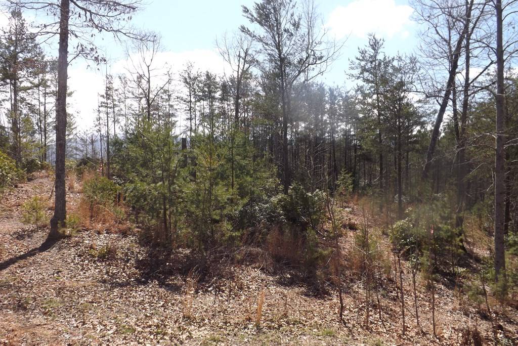Young Harris, GA 30582,LOT 51 Ray Drive Dblsprings