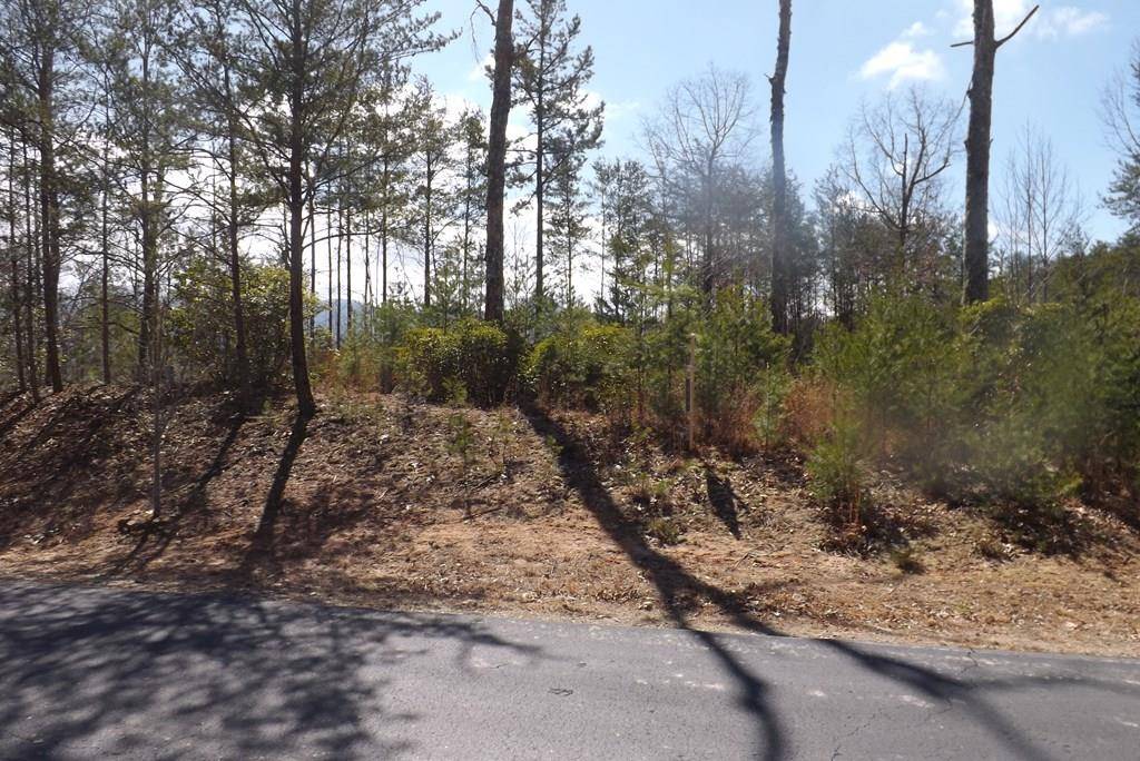 Young Harris, GA 30582,LOT 51 Ray Drive Dblsprings