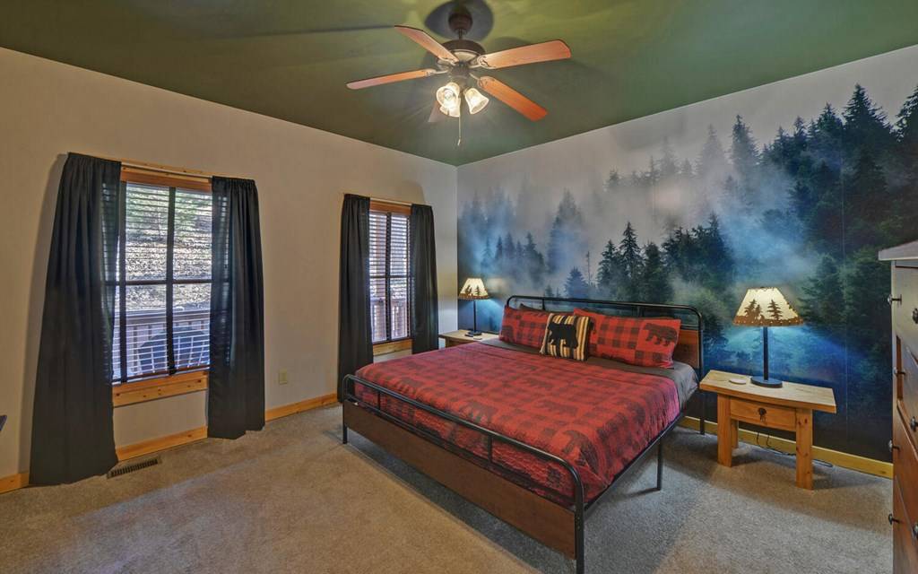 Ellijay, GA 30540,221 Acacia Court