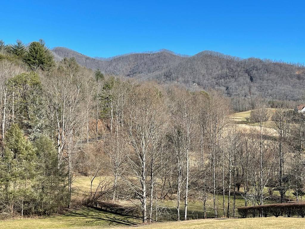 Hayesville, NC 28904,Lot 21C Ash Branch Circle