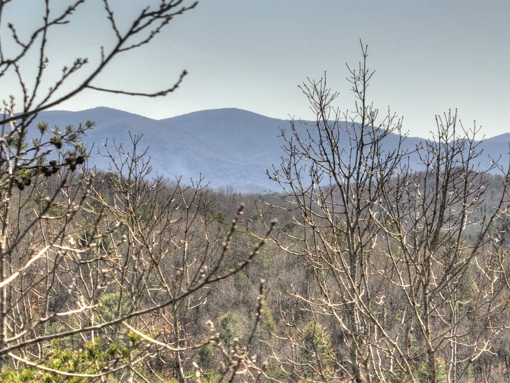 Blue Ridge, GA 30513,331 Chestnut Gap Road