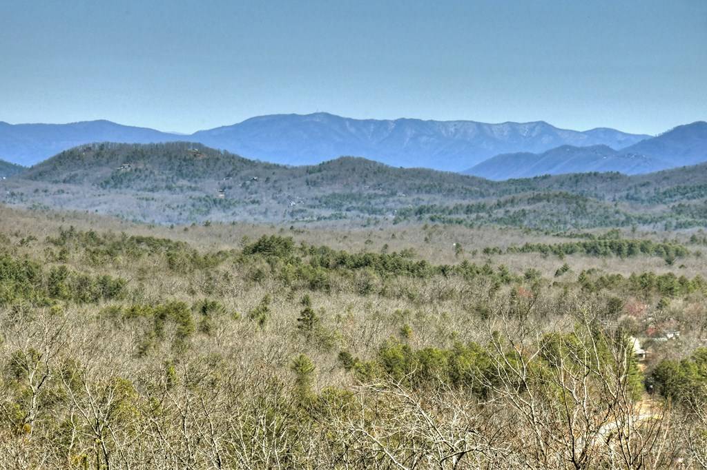 Morganton, GA 30560,287 Scouts Overlook Lane