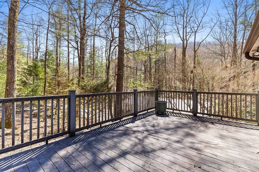 Suches, GA 30572,656 Happy Hollow Circle
