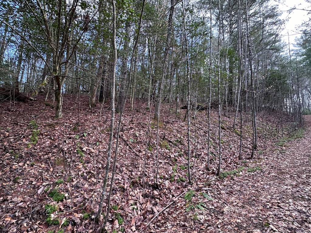 Murphy, NC 28906,Lot 27 Appalachian Estates