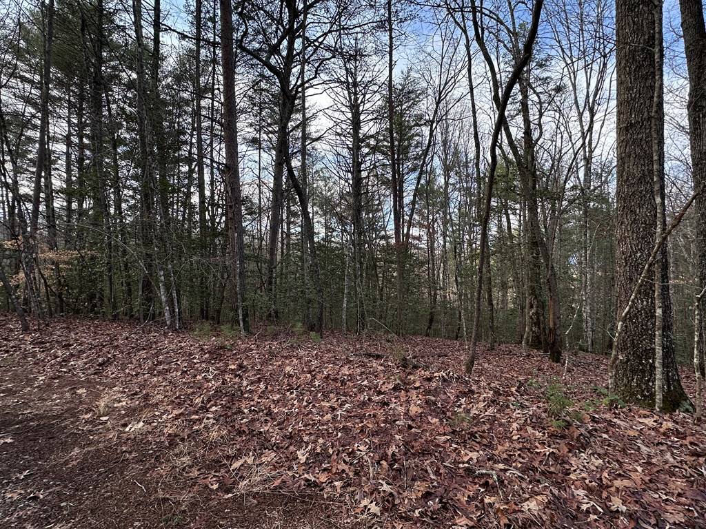 Murphy, NC 28906,Lot 27 Appalachian Estates