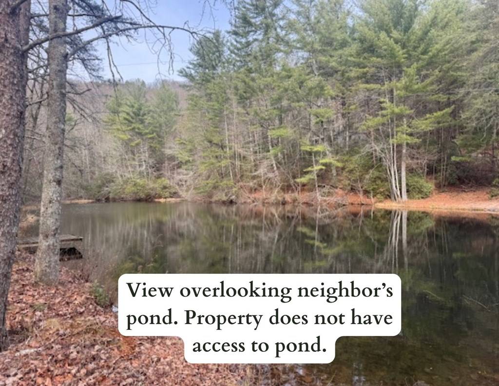 Suches, GA 30572,31 Pond Lane