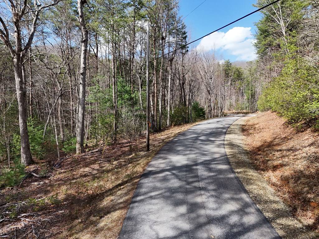 Blairsville, GA 30512,LL321 Turkey Trot