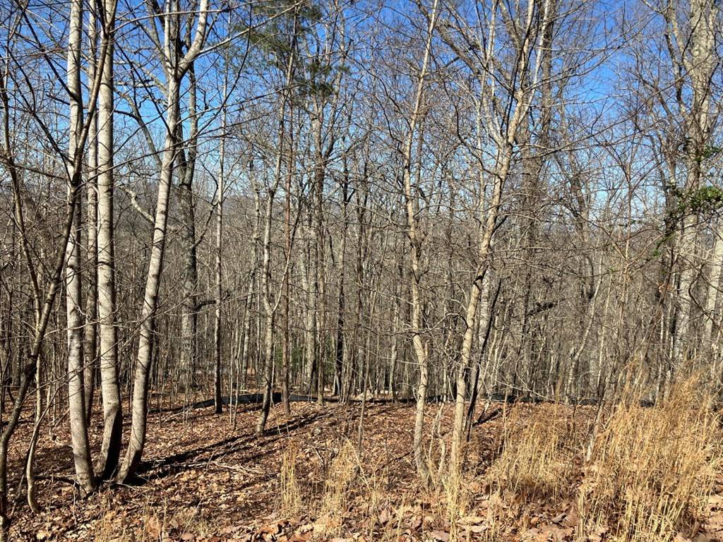 Warne, NC 28909,Lot 4 Mirandi Drive