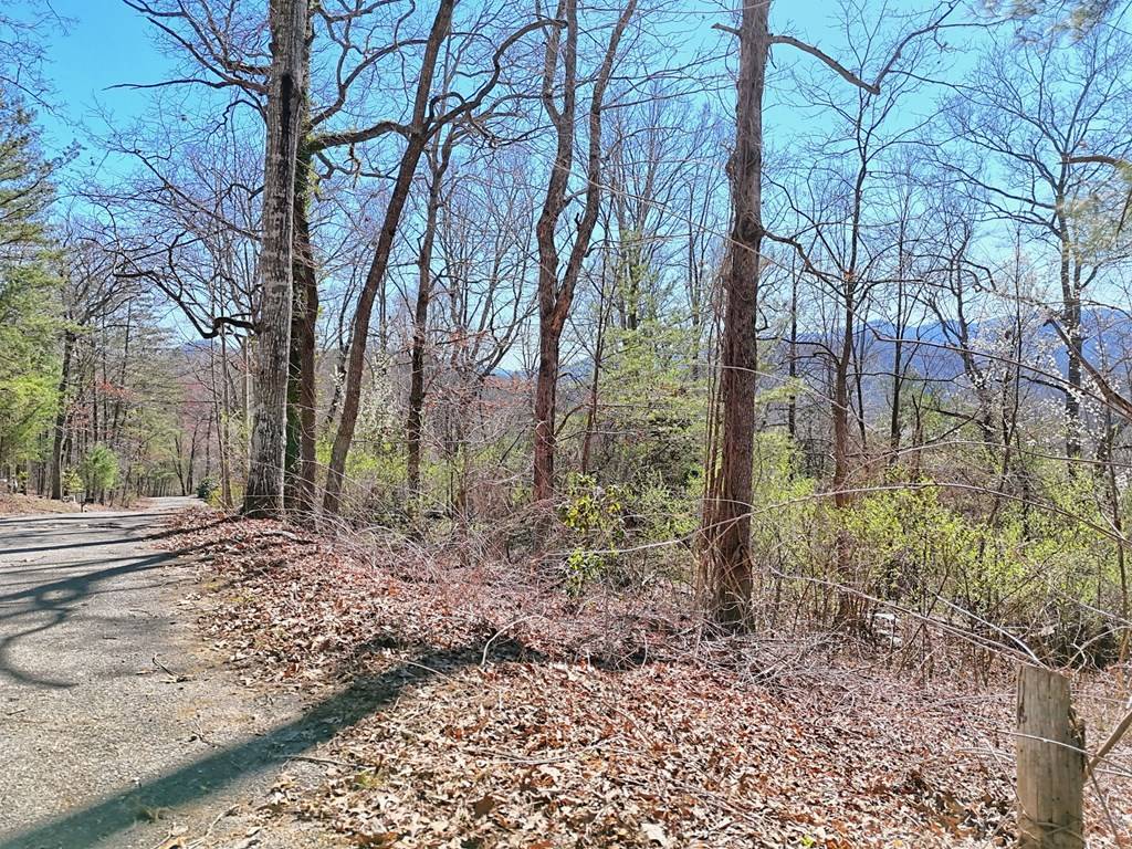 Hiawassee, GA 30546,631 Mcridge Road