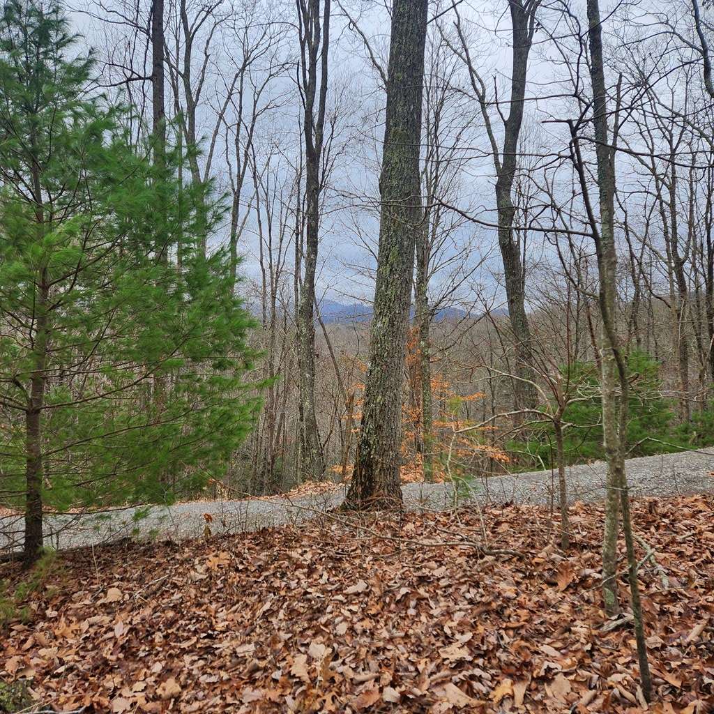 Blue Ridge, GA 30513,400Block Mountain Ridge