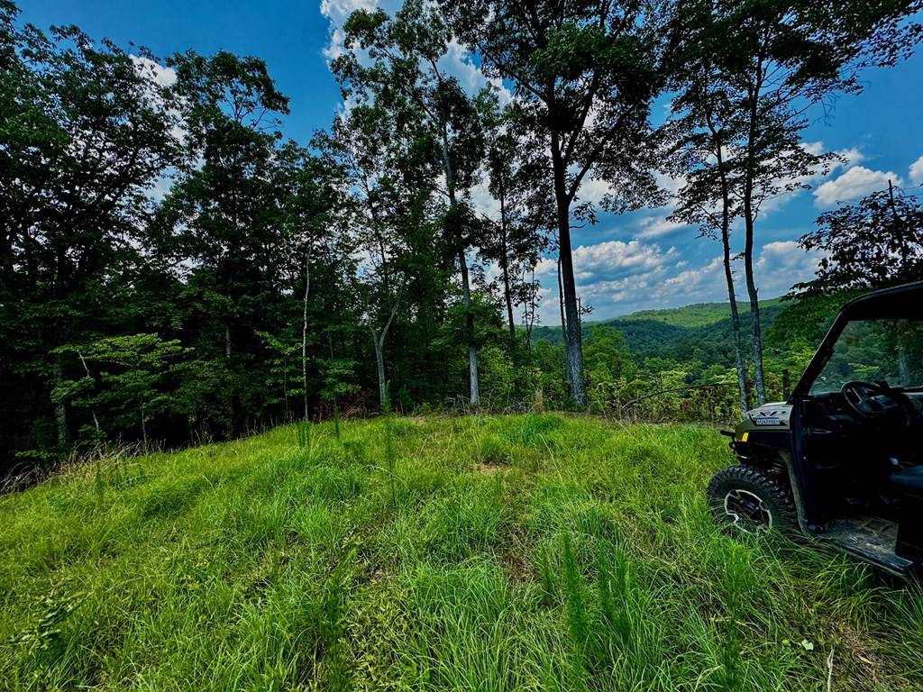 Talking Rock, GA 30175,00000 Hwy 136