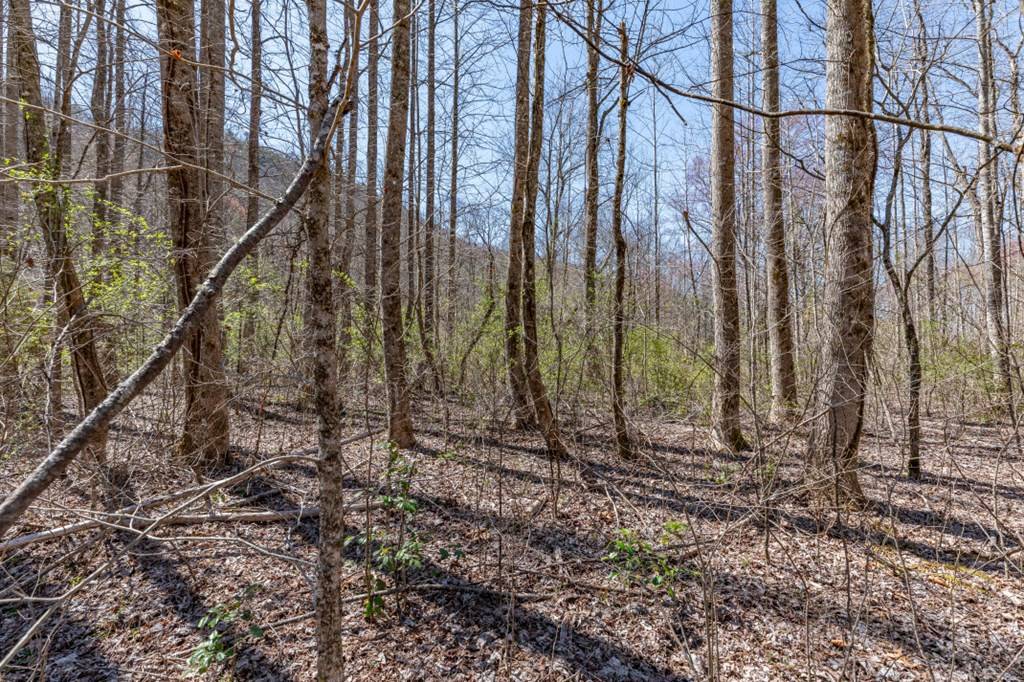 Hayesville, NC 28904,Lots 12+ Tusquittee Crossing