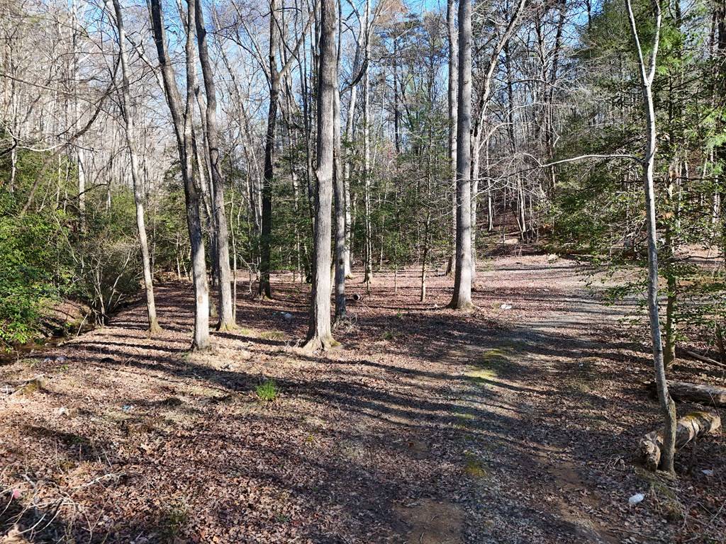 Mineral Bluff, GA 30559,300 Kaleb Trail