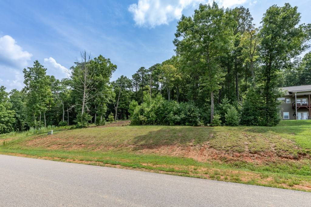 Blairsville, GA 30512,Lot 35 Hidden Harbor