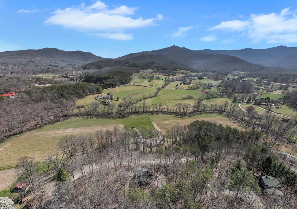 Young Harris, GA 30582,1637 Townsend Mill Road