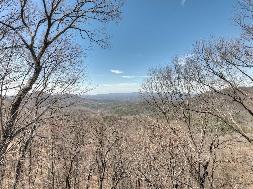 Ellijay, GA 30536,Lot 13 Wilderness Way
