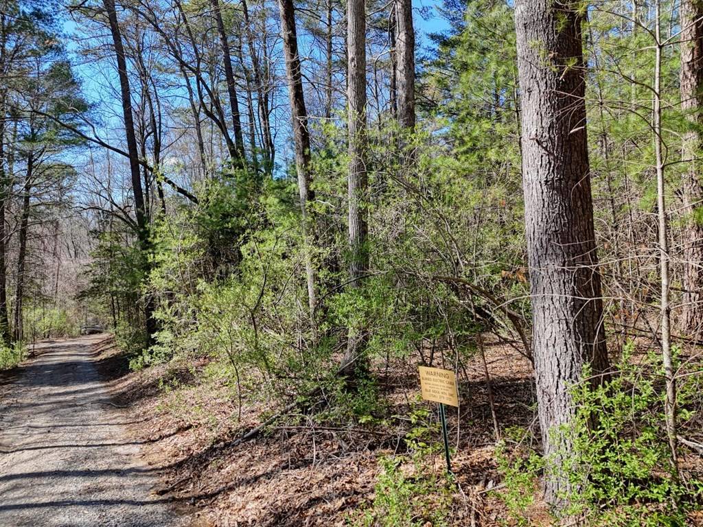 Hiawassee, GA 30546,Lot 9 Hi River Country