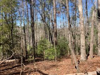 Ellijay, GA 30540,Lt 1032 Eagle Court