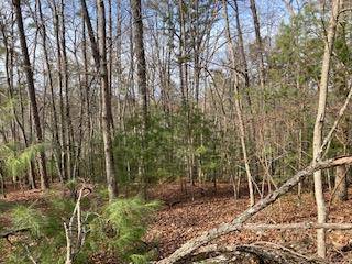 Ellijay, GA 30540,Lt 1032 Eagle Court