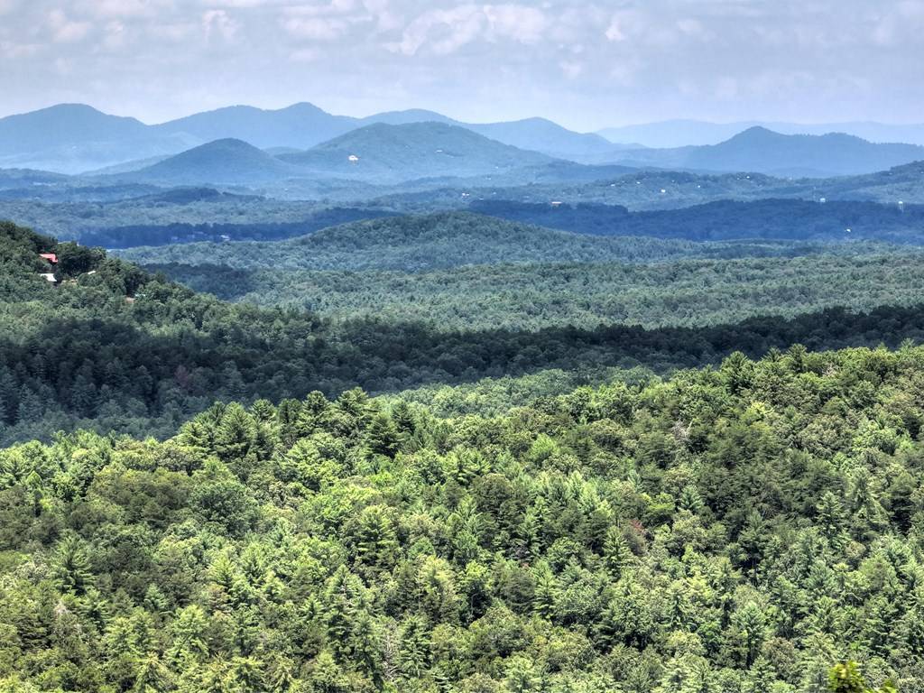Blue Ridge, GA 30515,Lot 1 Aska Road