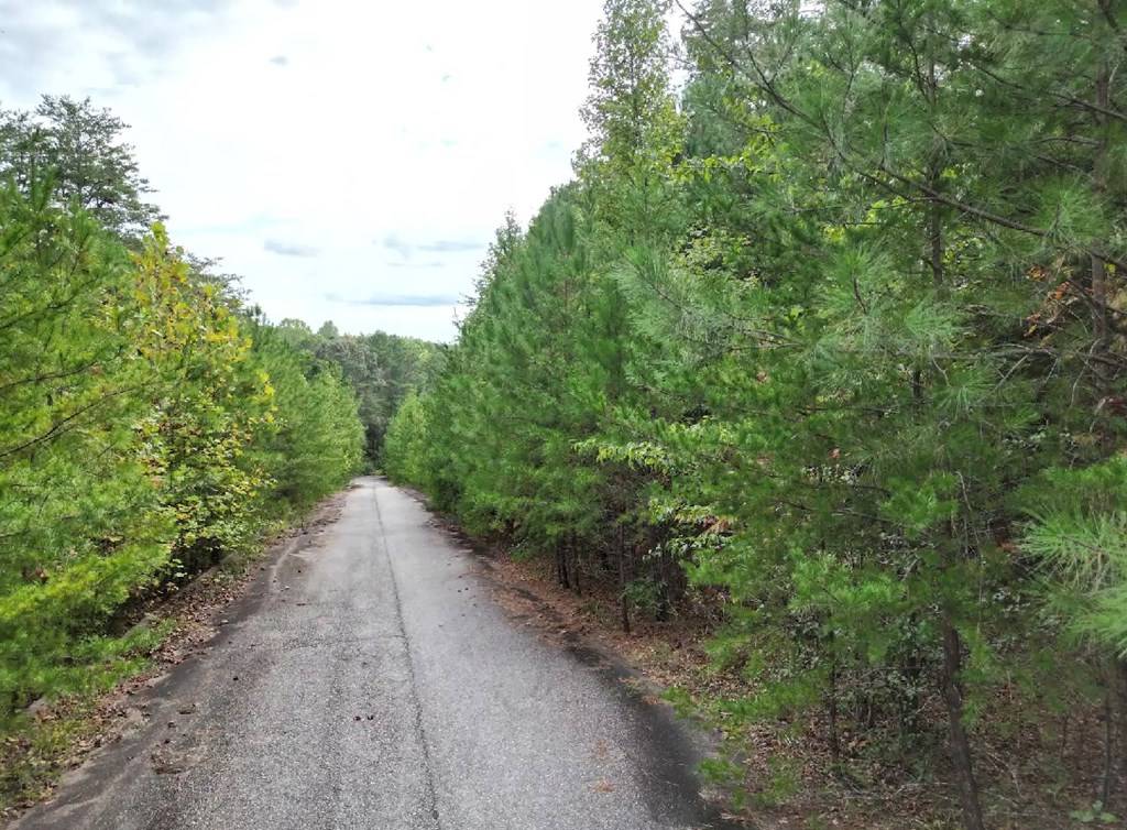 Braswell, GA 30153,53 Skyline Drive
