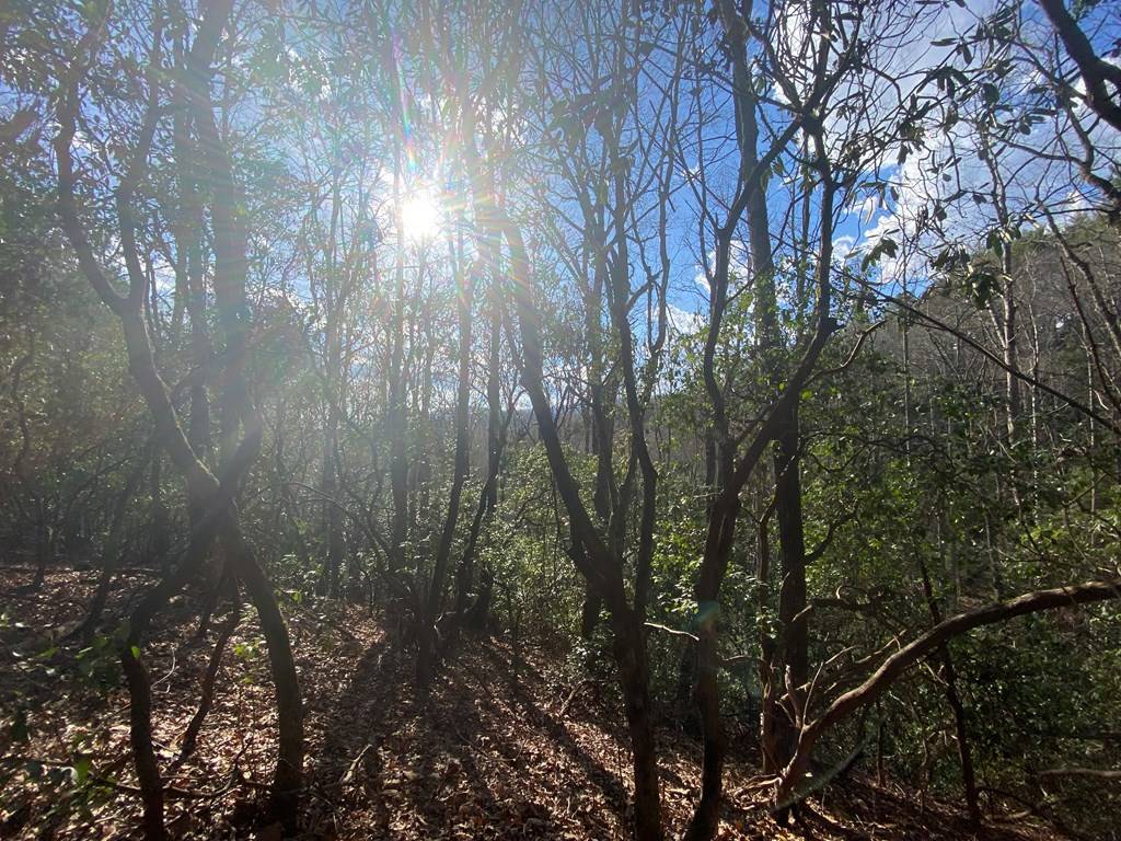 Hayesville, NC 28904,Lot 43 Granite Drive