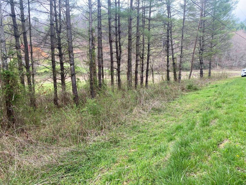 Murphy, NC 28906,TBD Fall Branch