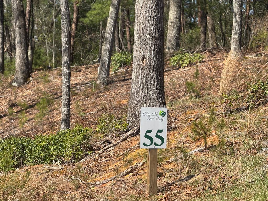 Mineral Bluff, GA 30559,Lot 55 Mountain Laurel Ridge