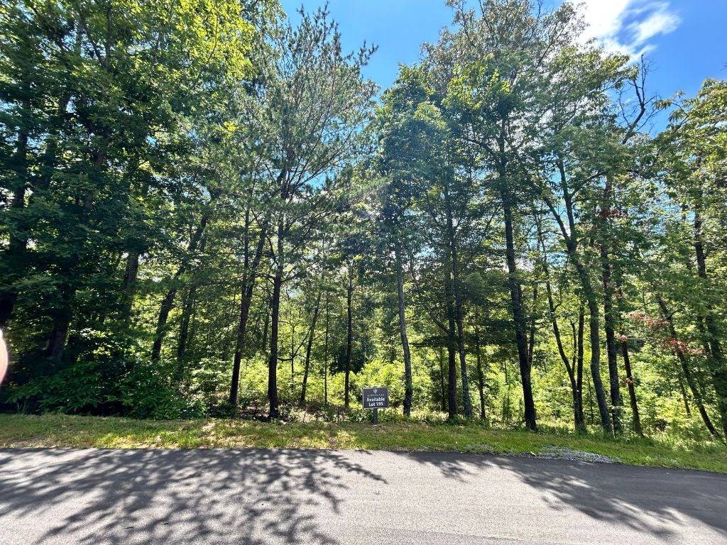 Mineral Bluff, GA 30559,Lot 195 Trails End Way