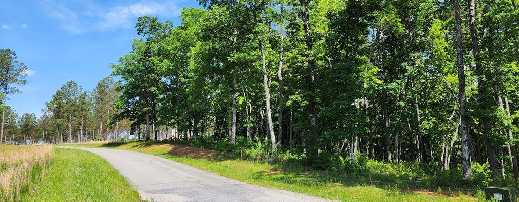 Ellijay, GA 30540,71 LT High River Crossing