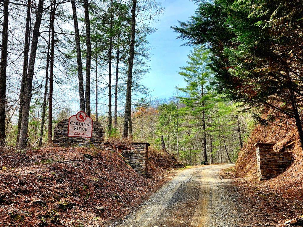 Murphy, NC 28906,L46 Warbler Road