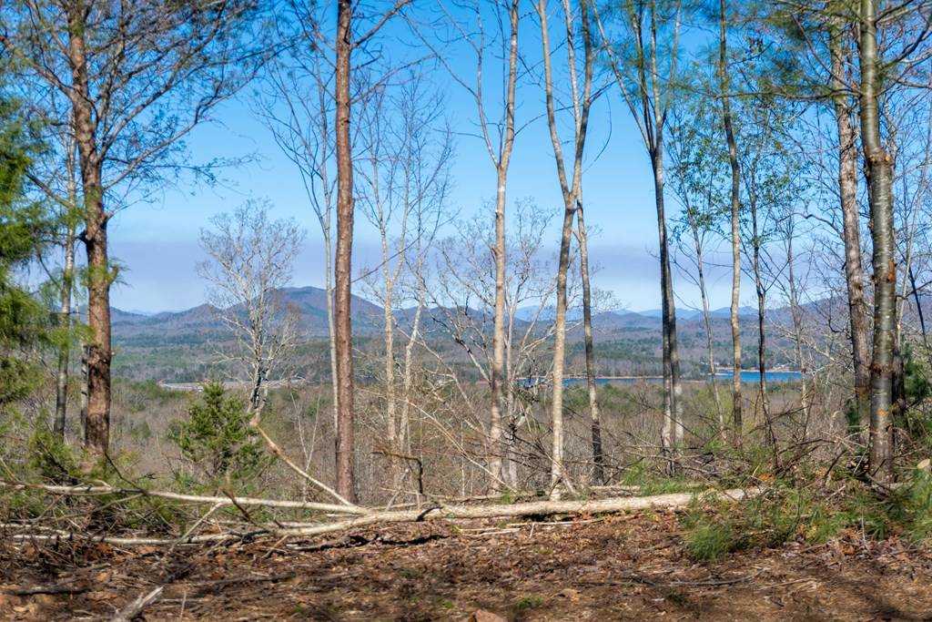 Blairsville, GA 30512,41AC Loving Road