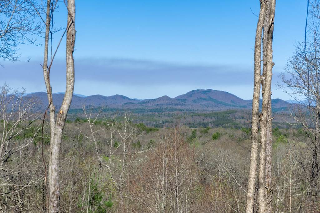 Blairsville, GA 30512,41AC Loving Road