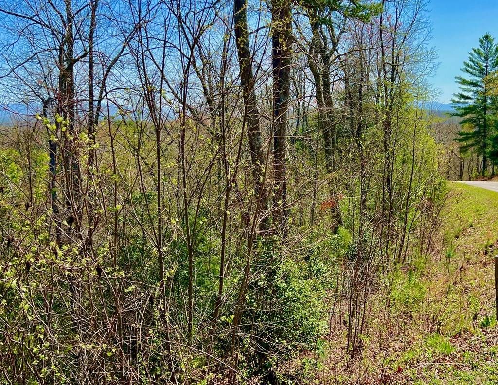 Morganton, GA 30560,14 Hawks View