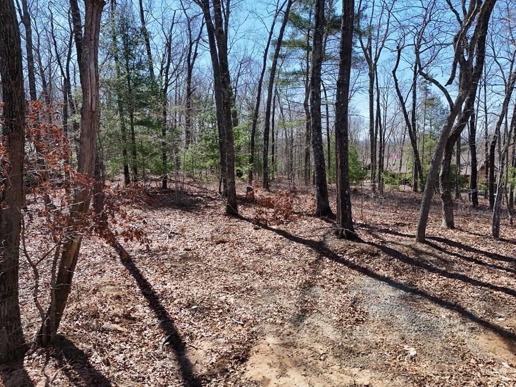 Mineral Bluff, GA 30559,Lot 1 Robert Miller Lane