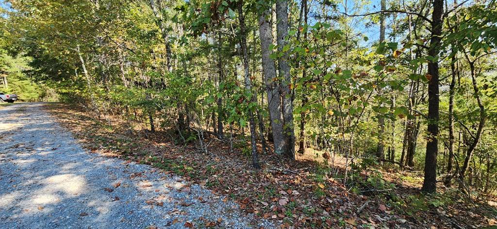 Talking Rock, GA 30175,Lot 1699 Shade Tree Drive