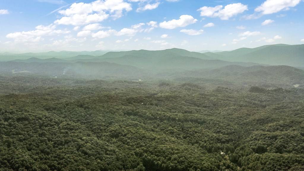 Cherry Log, GA 30522,2578 Lucius Road