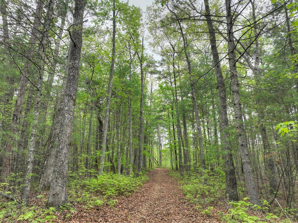 Ellijay, GA 30540,Lot 14 Watersong Trail