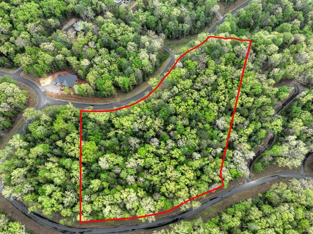 Ellijay, GA 30540,Lot 14 Watersong Trail