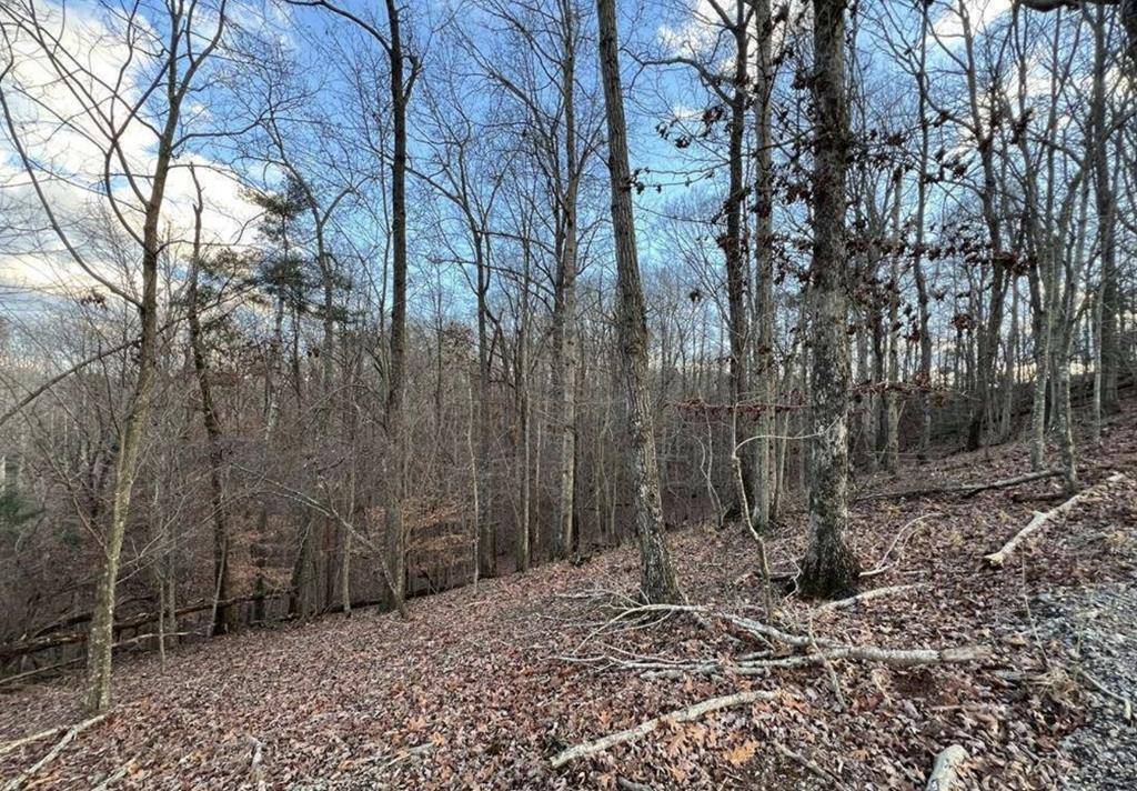 Ellijay, GA 30540,0 Crown Court