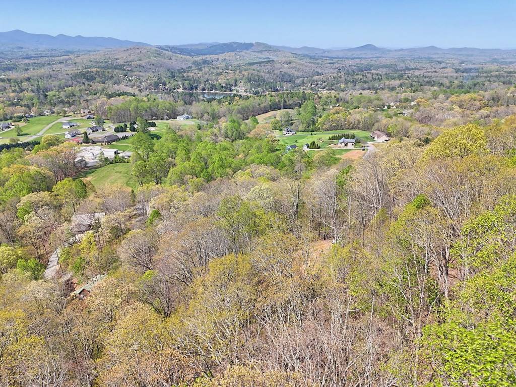 Blairsville, GA 30512,Lot 44 The Arbor
