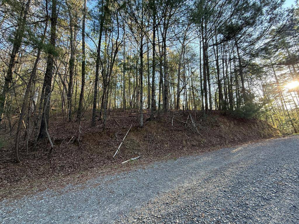 Ellijay, GA 30540,L3675R Fern Drive
