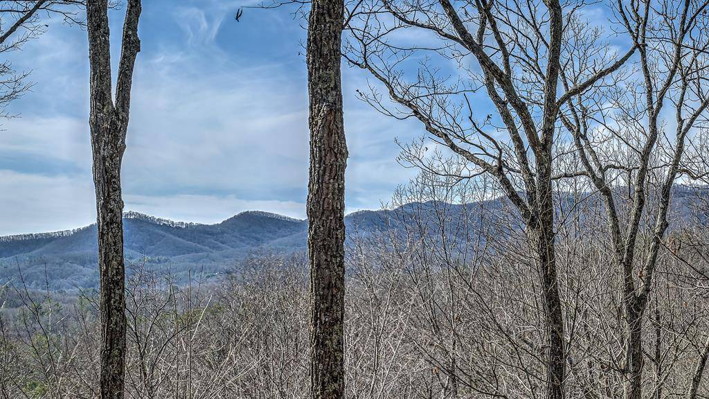 Cherry Log, GA 30522,203 Chimney Rock Road